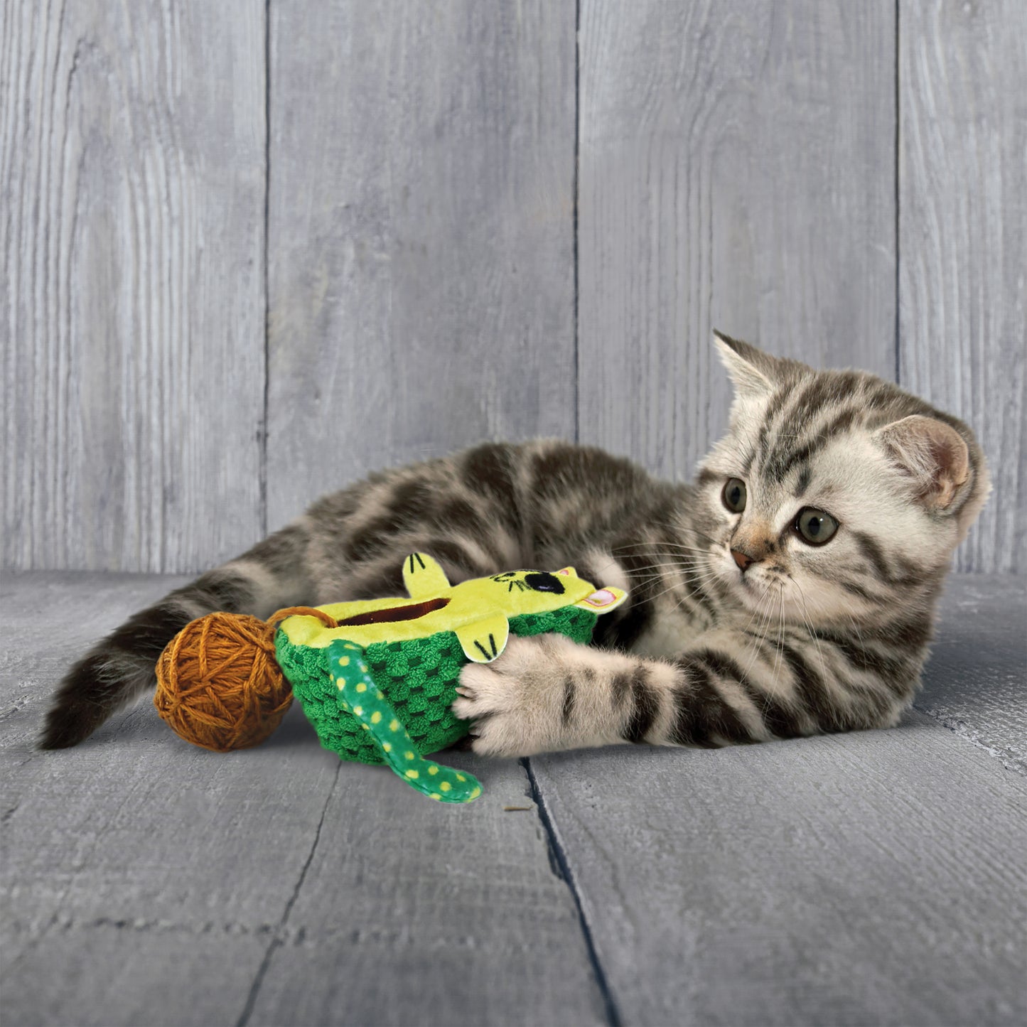 WRANGLER AVOCATO