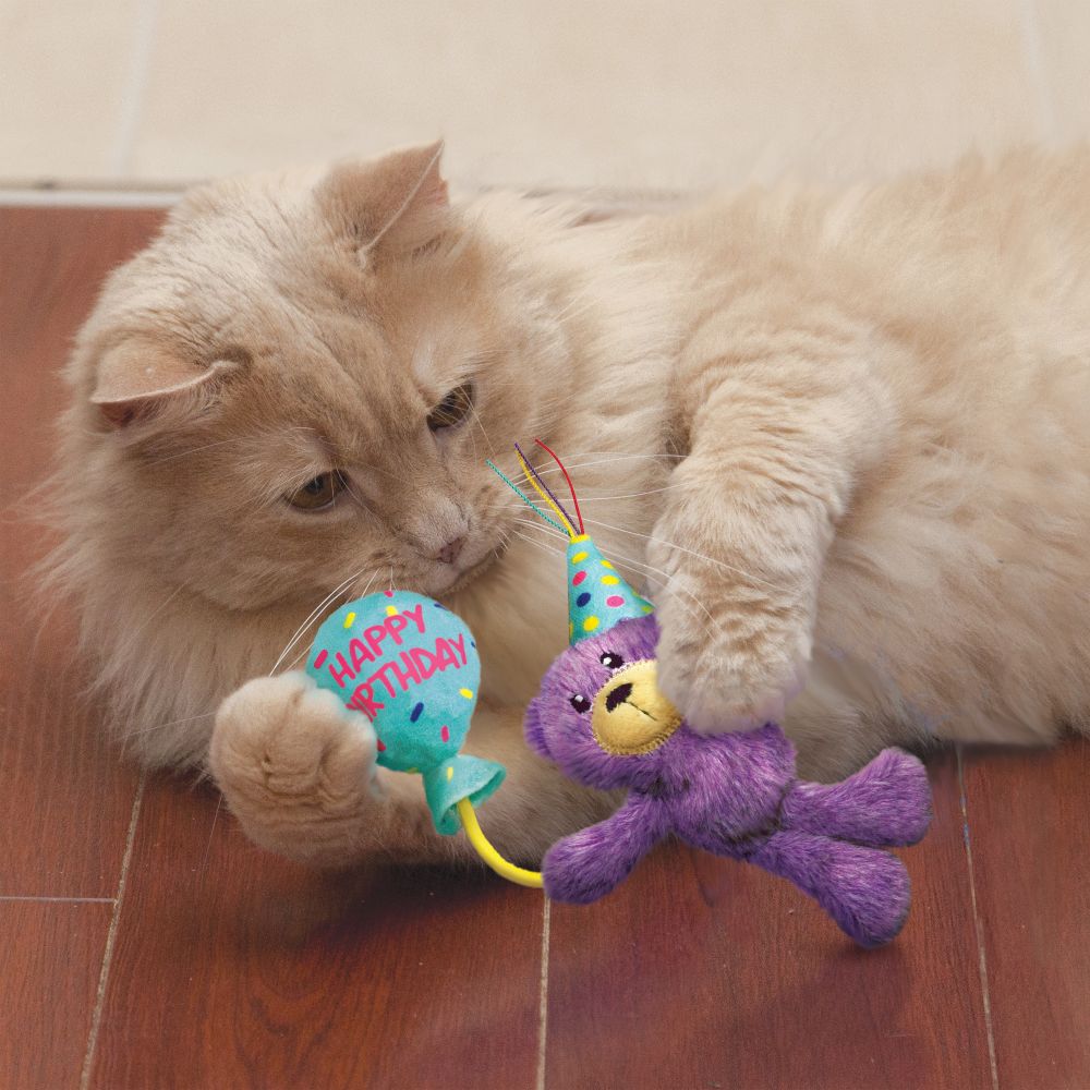 Cat Occasions Birthday Teddy Plush Cat Toy with Catnip