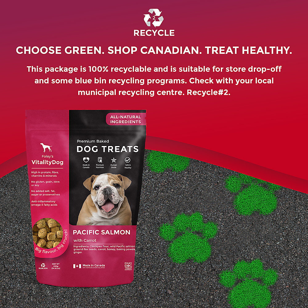 VitalityDog Crunchy Baked Dog Treats - Pacific Salmon with Honey Carrots