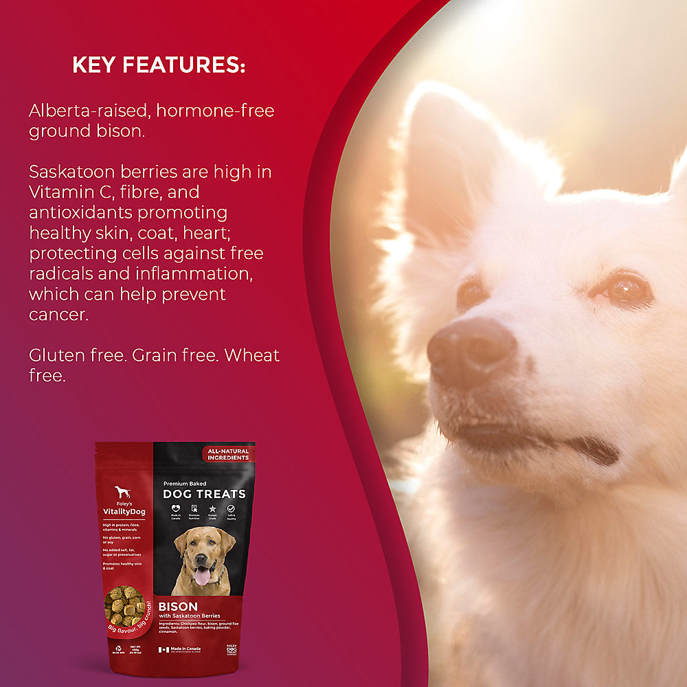 VitalityDog Crunchy Baked Dog Treats - Bison with Saskatoon Berries