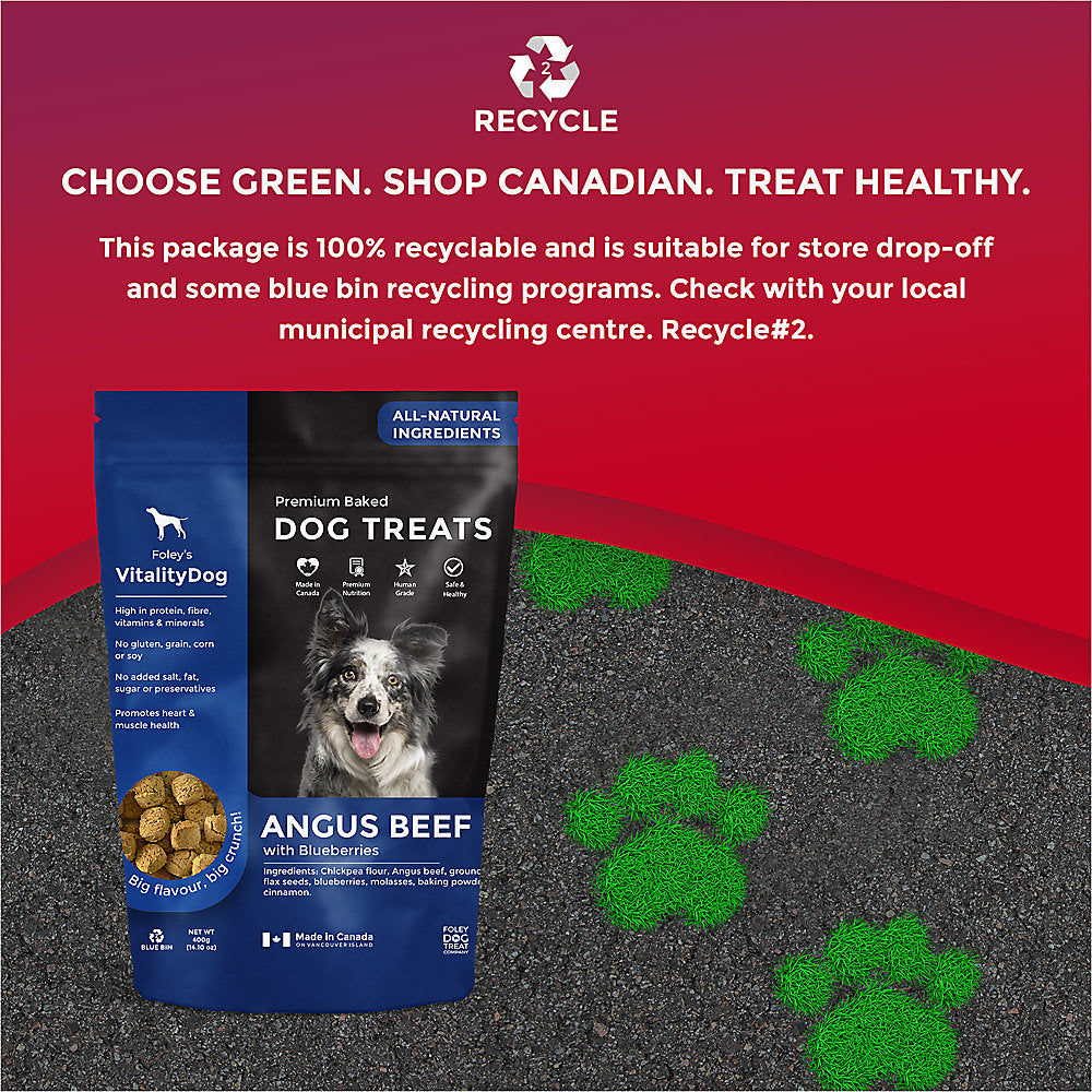 VitalityDog Crunchy Baked Dog Treat - Angus Beef with Blueberries