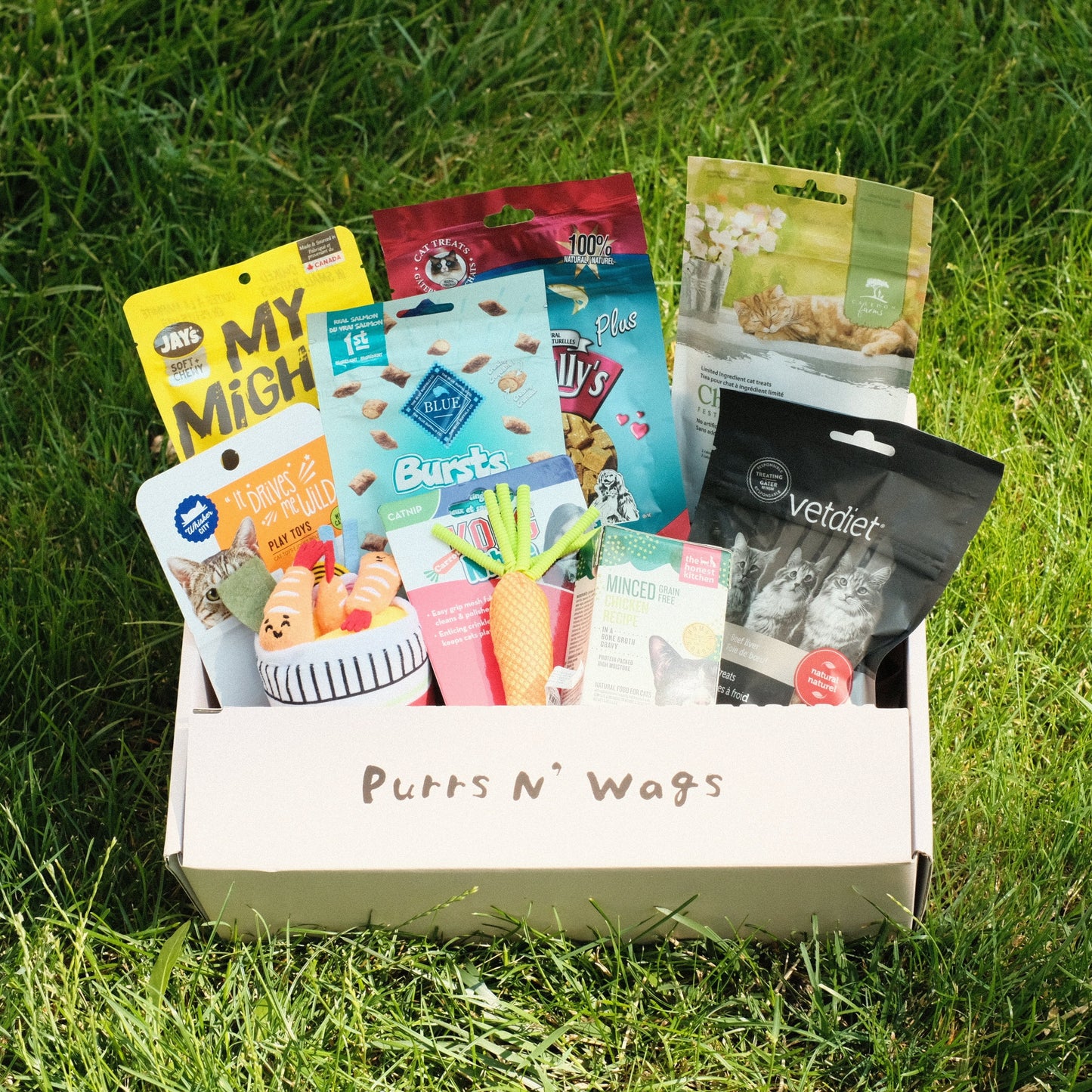 Customized Surprise Box For Cats