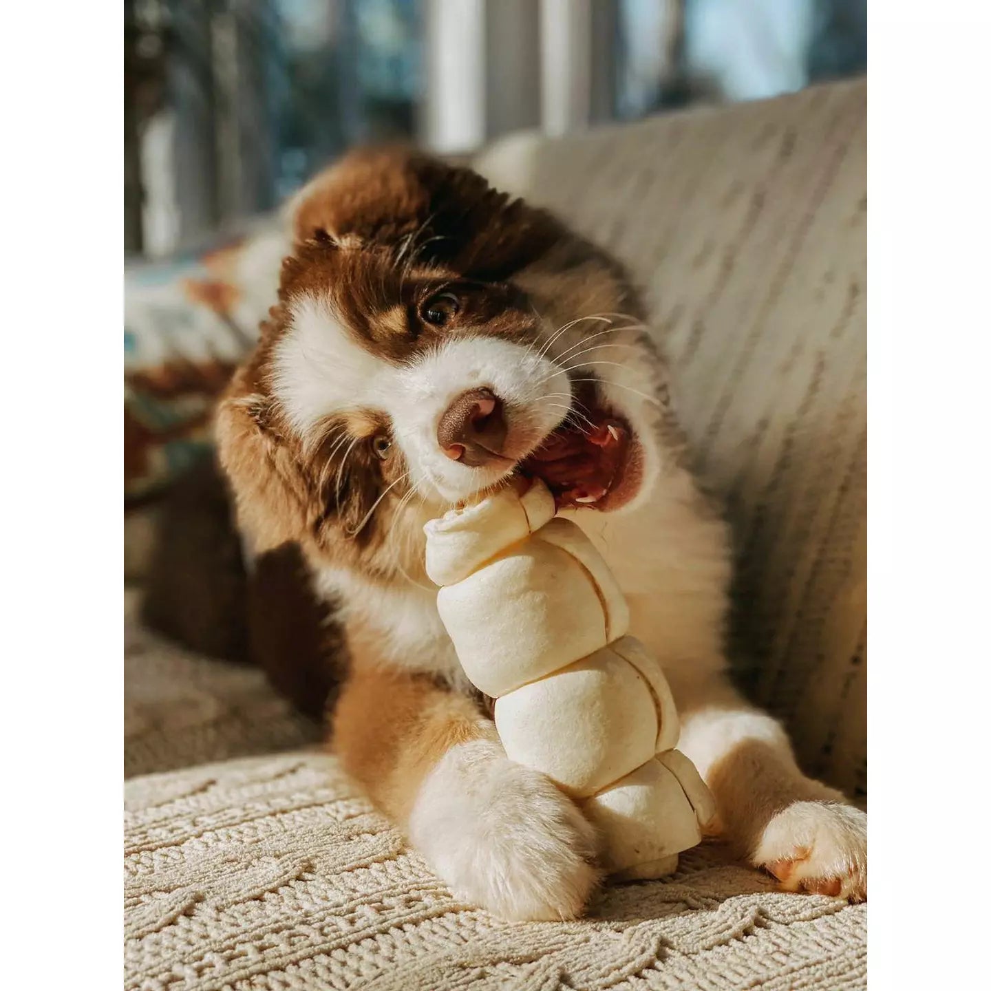 Natural Beef Cheek Roll