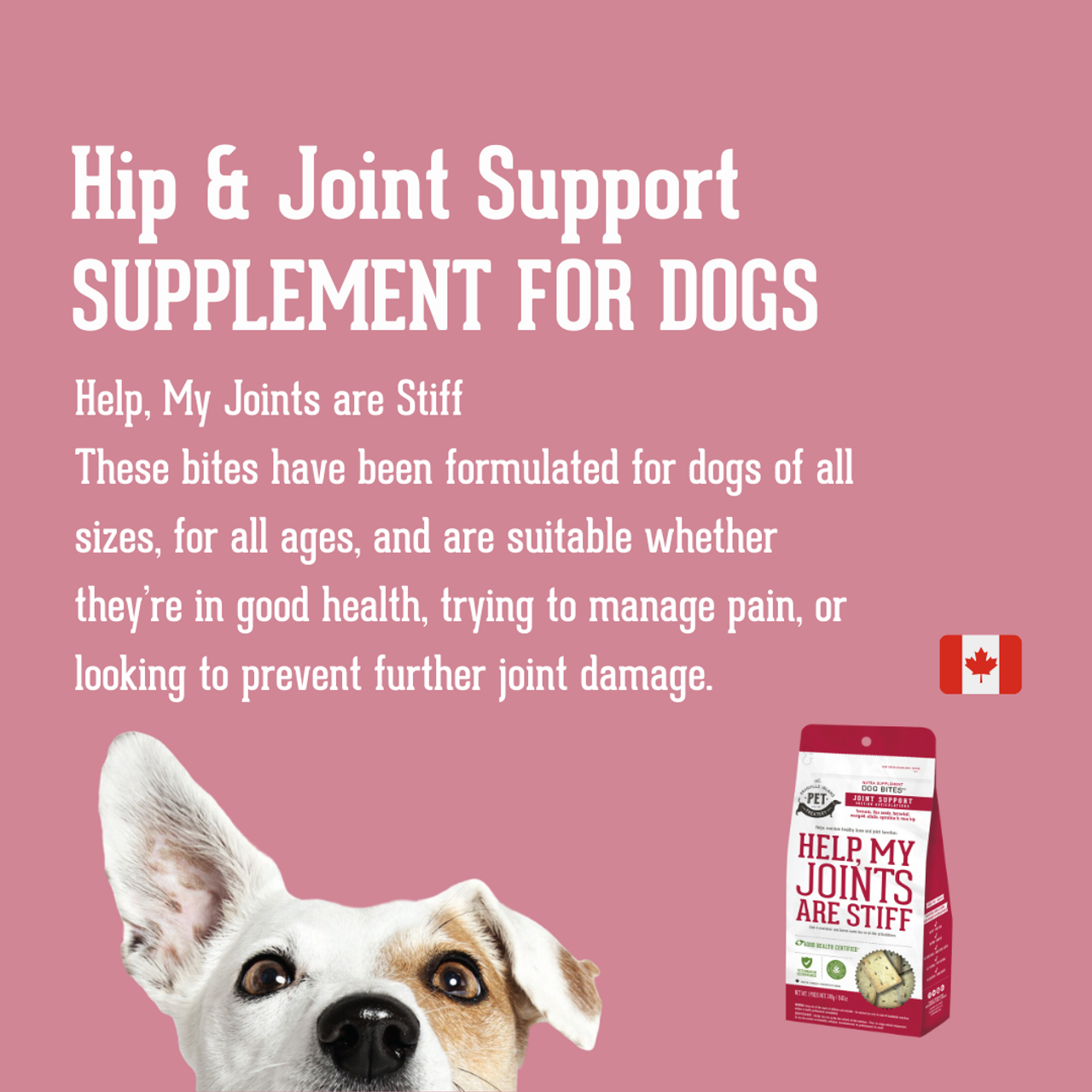 Homeopathic Supplement Hip & Joint Supplement For Dogs