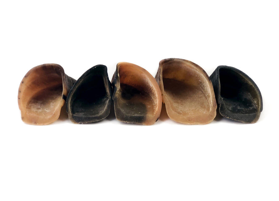 Cow Hooves