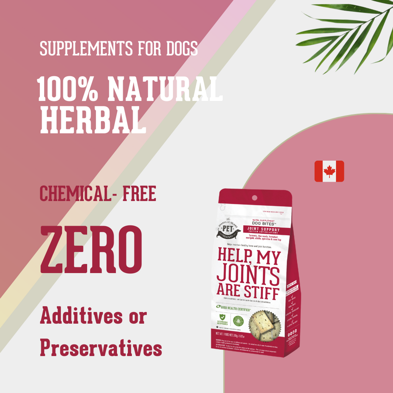 Homeopathic Supplement Hip & Joint Supplement For Dogs