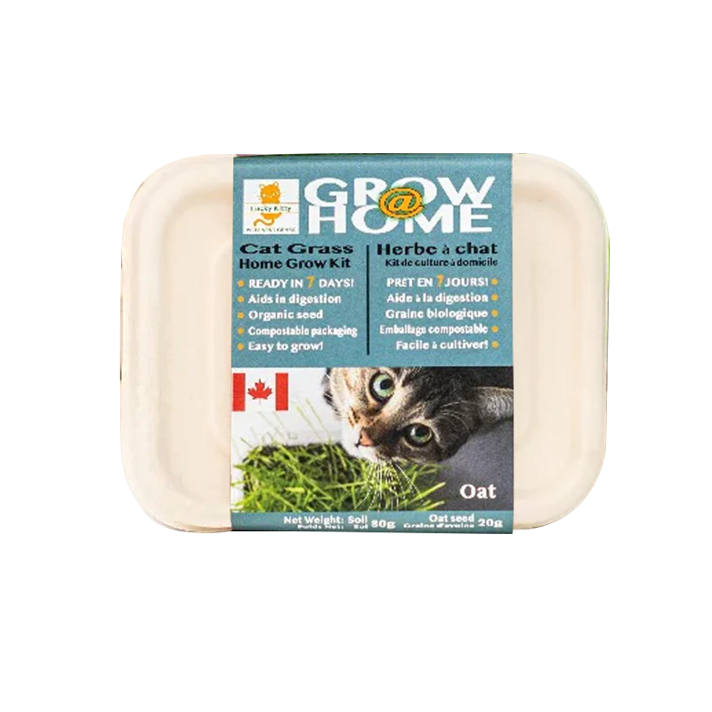 Cat Grass Home Grow Kit, Oat