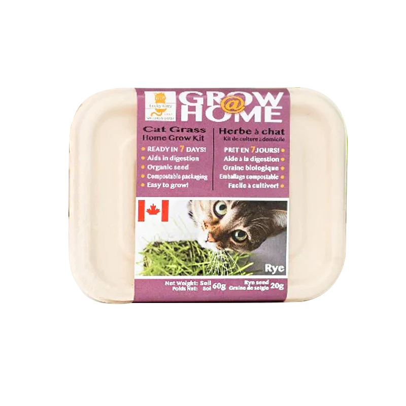 Cat Grass Home Grow Kit, Rye