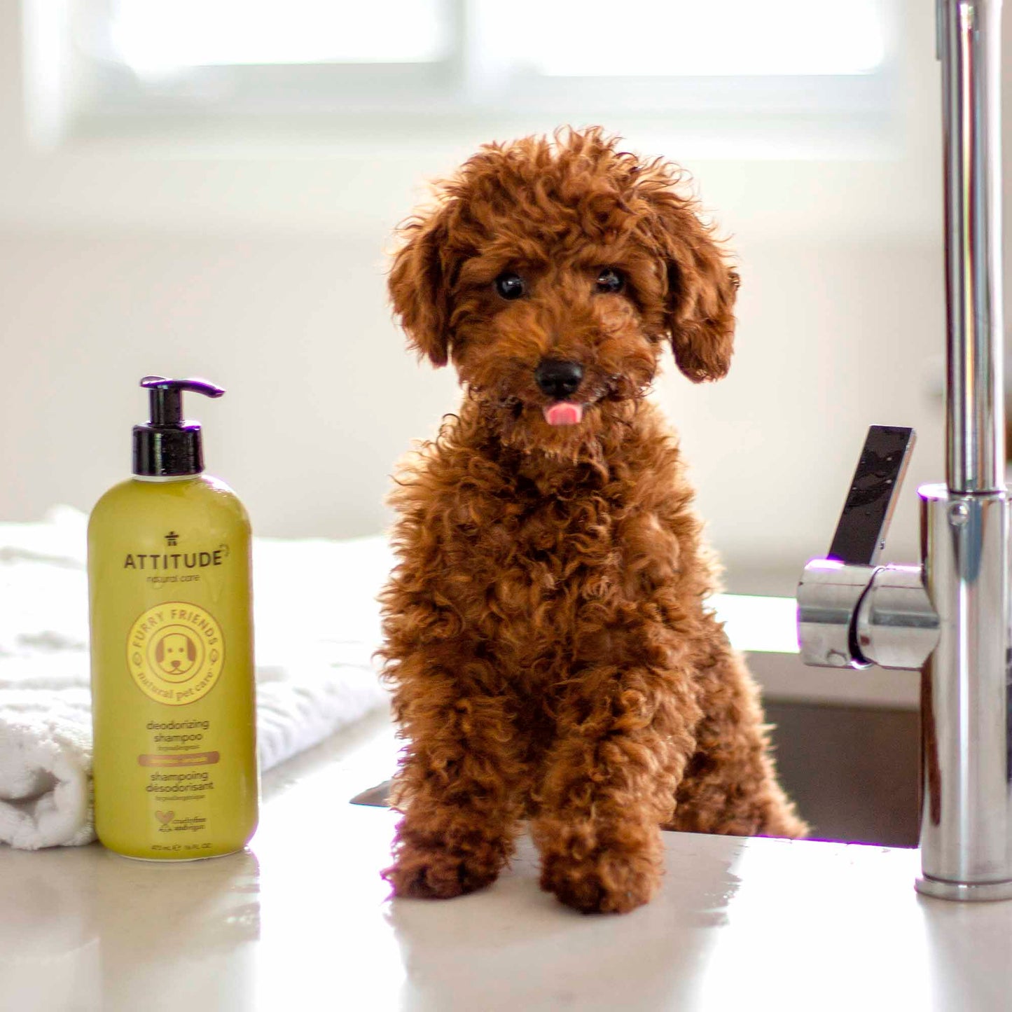 2-in-1 Nourishing Shampoo & Conditioner