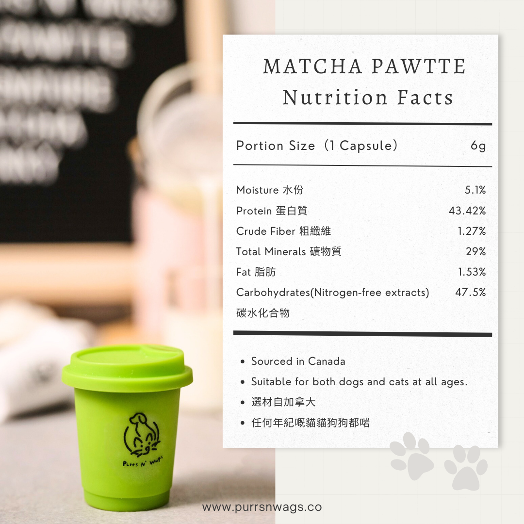 Matcha Pawtte