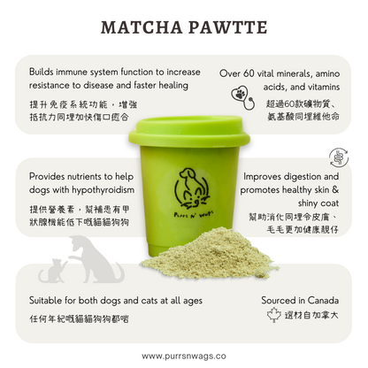Matcha Pawtte
