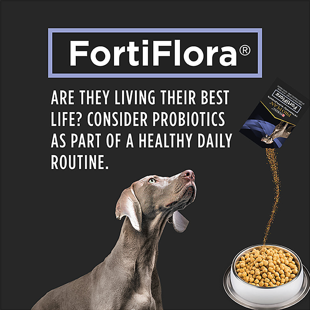 Pro Plan® Veterinary FortiFlora Probiotic Dog Supplement