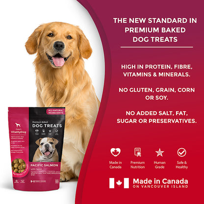 VitalityDog Crunchy Baked Dog Treats - Pacific Salmon with Honey Carrots