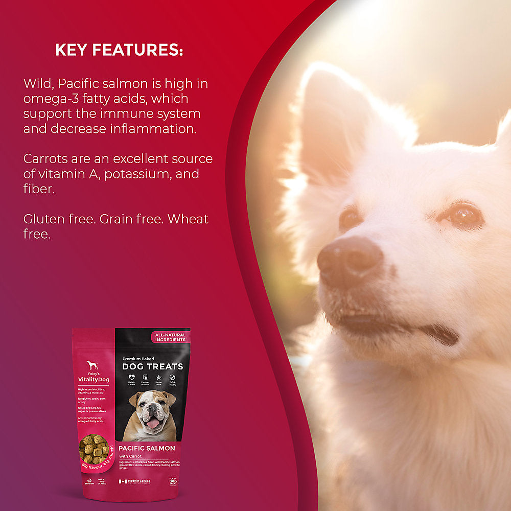 VitalityDog Crunchy Baked Dog Treats - Pacific Salmon with Honey Carrots