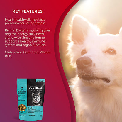 VitalityDog Crunchy Baked Dog Treats - Elk with Wild Berries