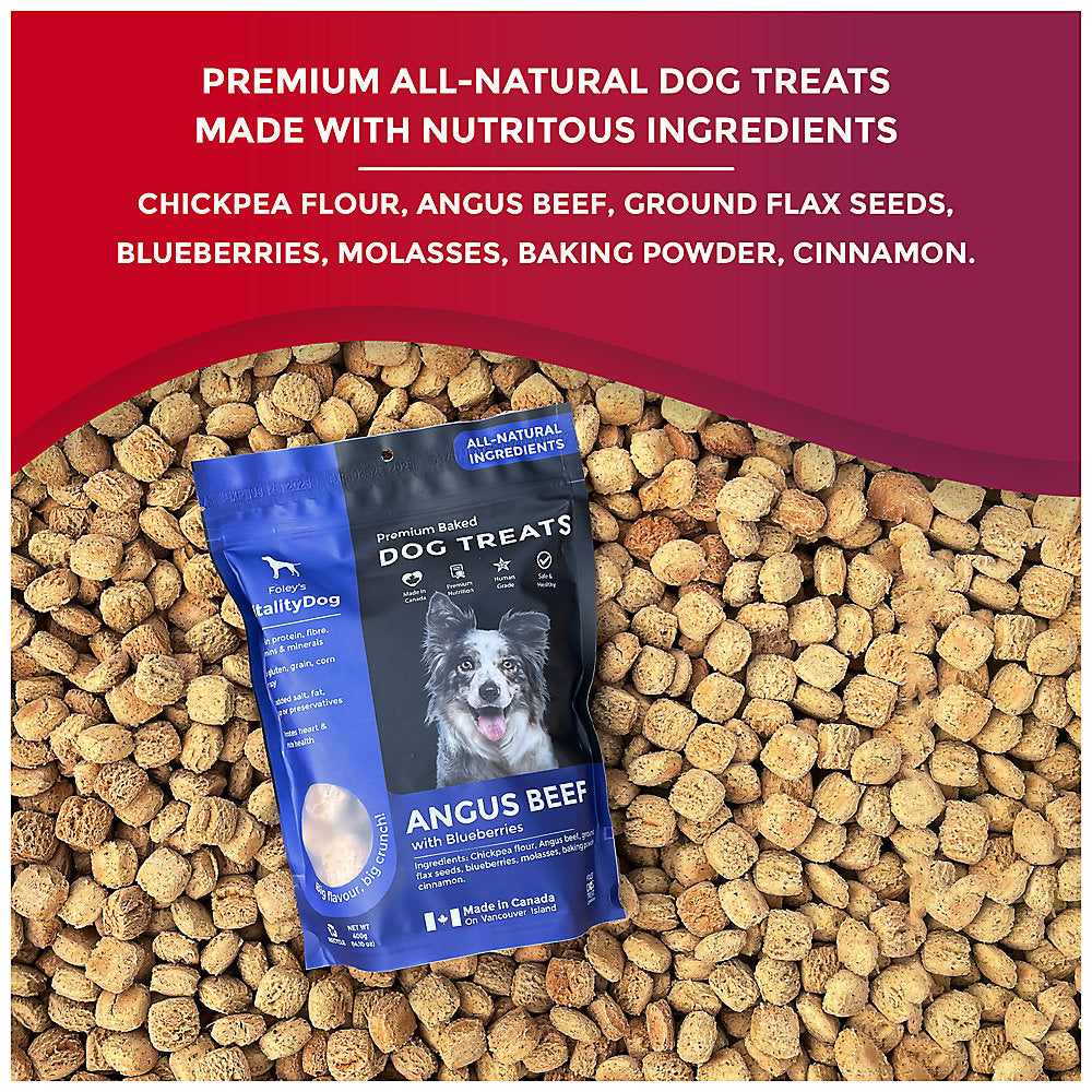 VitalityDog Crunchy Baked Dog Treat - Angus Beef with Blueberries