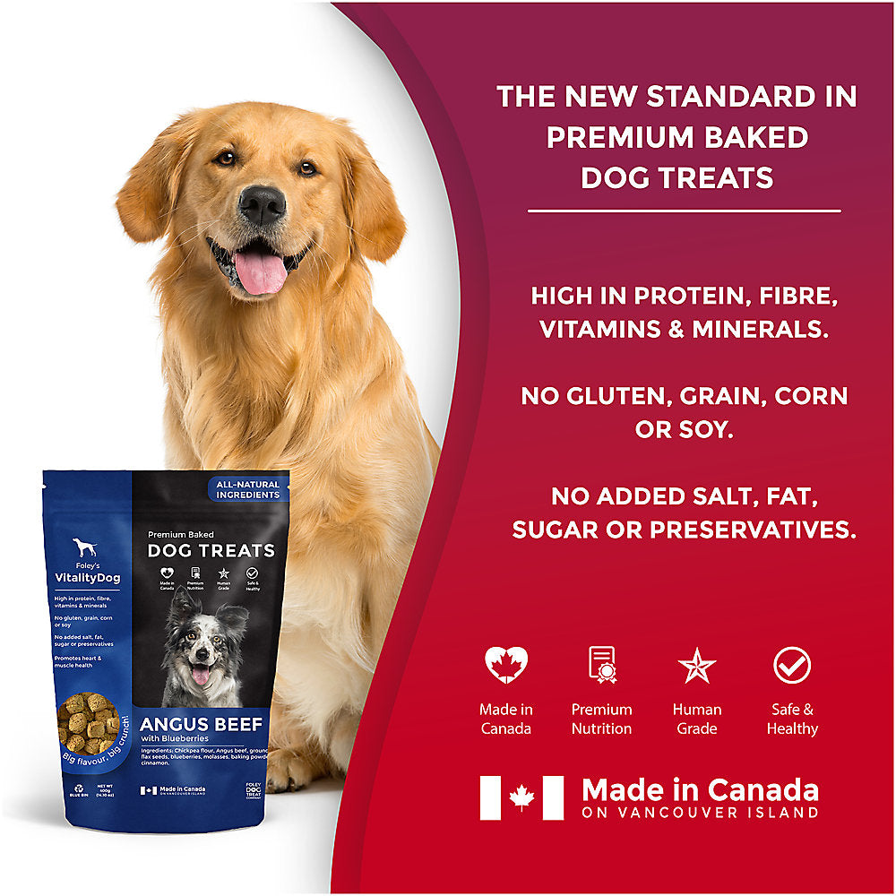 VitalityDog Crunchy Baked Dog Treat - Angus Beef with Blueberries