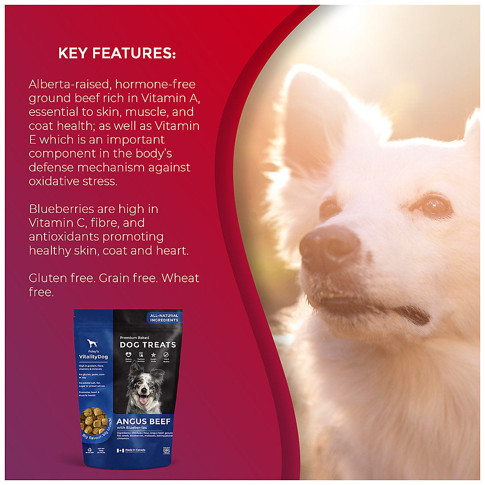VitalityDog Crunchy Baked Dog Treat - Angus Beef with Blueberries