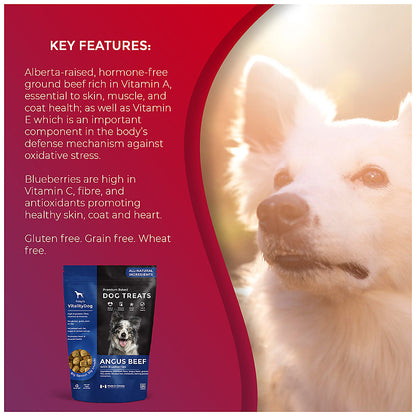 VitalityDog Crunchy Baked Dog Treat - Angus Beef with Blueberries