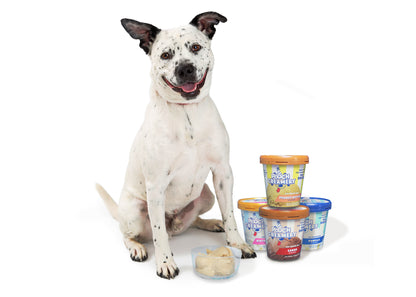 Ice Cream Mix for Dogs