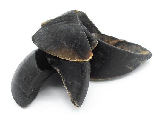 Cow Hooves