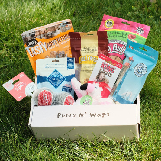 Customized Surprise Box For Dogs