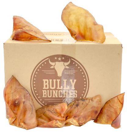 Pig Ears