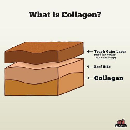 Collagen Stick – Small