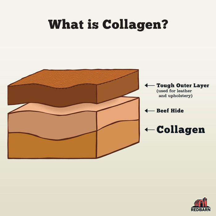 Collagen Braid - Small