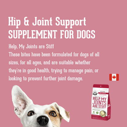 Homeopathic Supplement Hip & Joint Supplement For Dogs