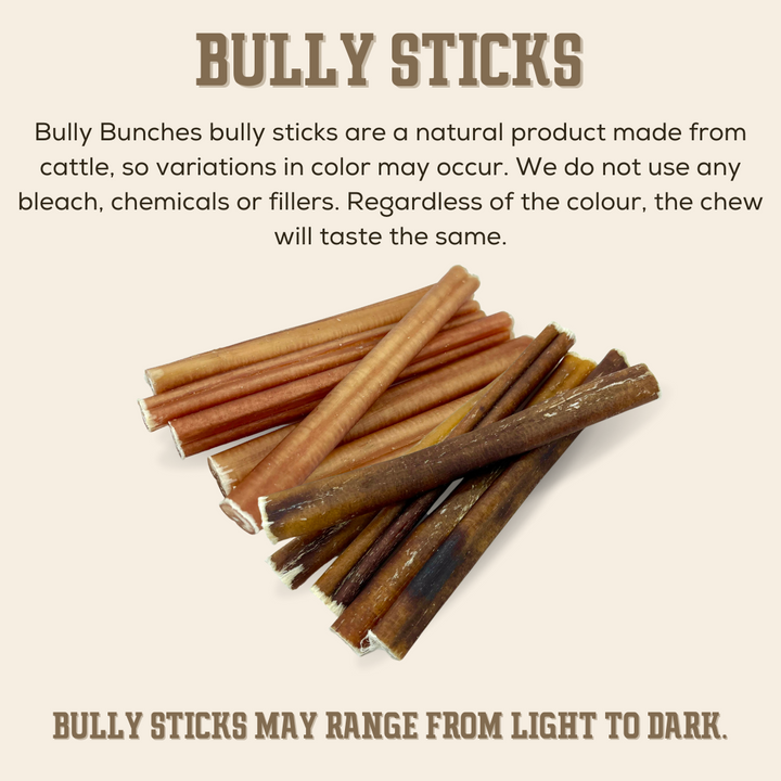 6 Inch Standard Bully Stick