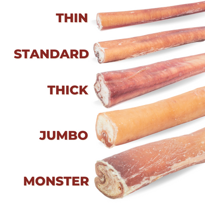 6 Inch Standard Bully Stick