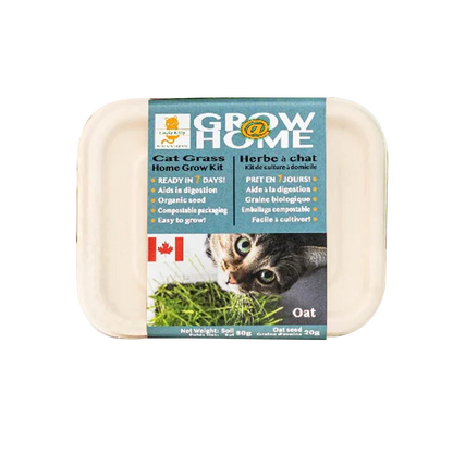 Cat Grass Home Grow Kit, Oat