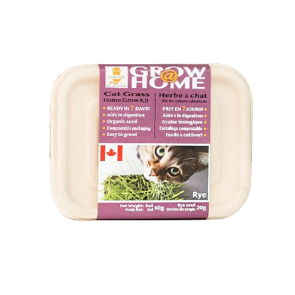 Cat Grass Home Grow Kit, Rye