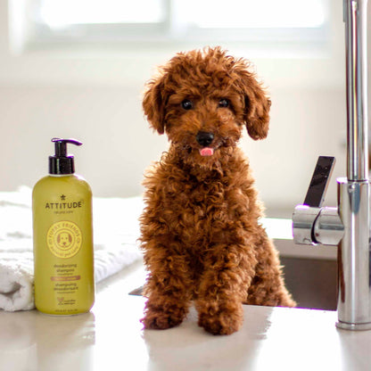 2-in-1 Nourishing Shampoo & Conditioner
